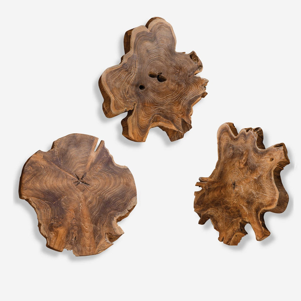 Kalani Teak Wall Art Set of 3 - Bombay Mercantile