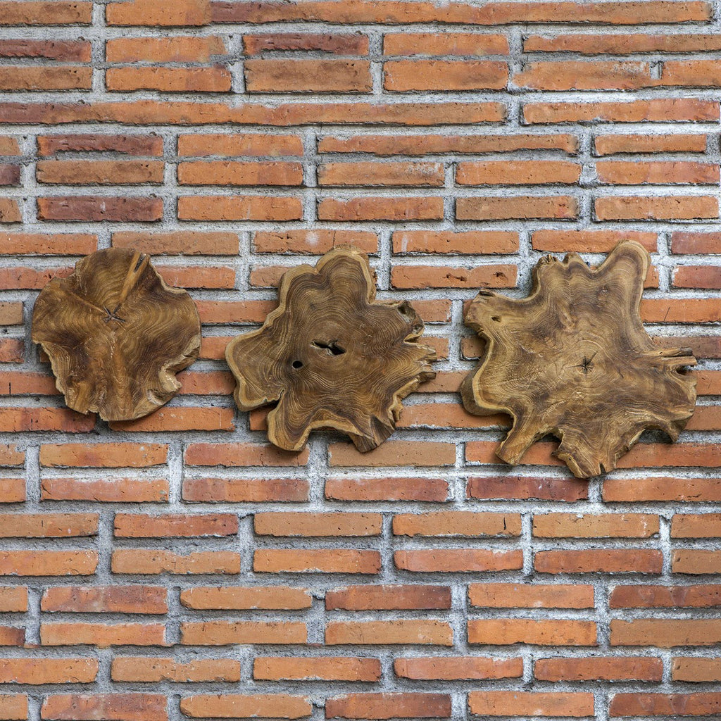 Kalani Teak Wall Art Set of 3 - Bombay Mercantile