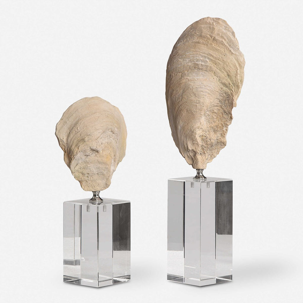 Oyster Shell Sculptures, Set of 2 - Bombay Mercantile