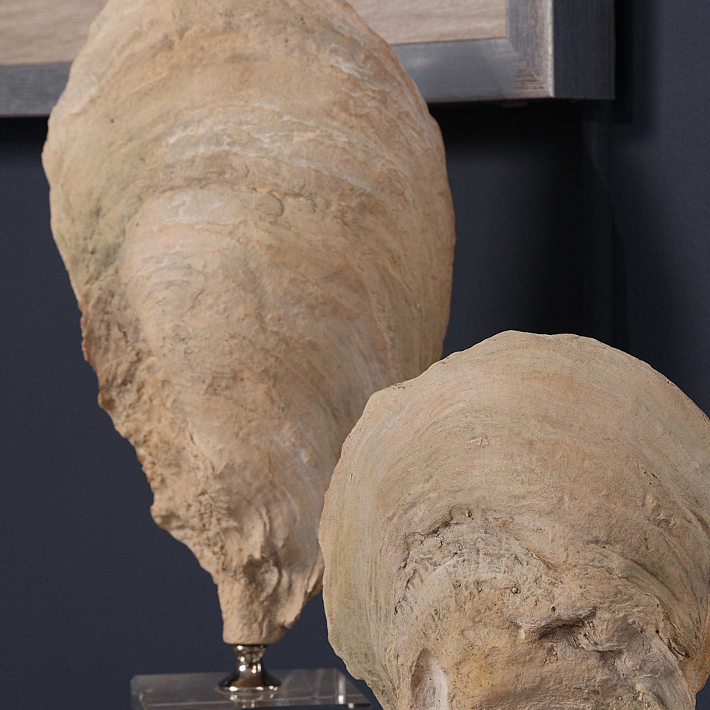 Oyster Shell Sculptures, Set of 2 - Bombay Mercantile