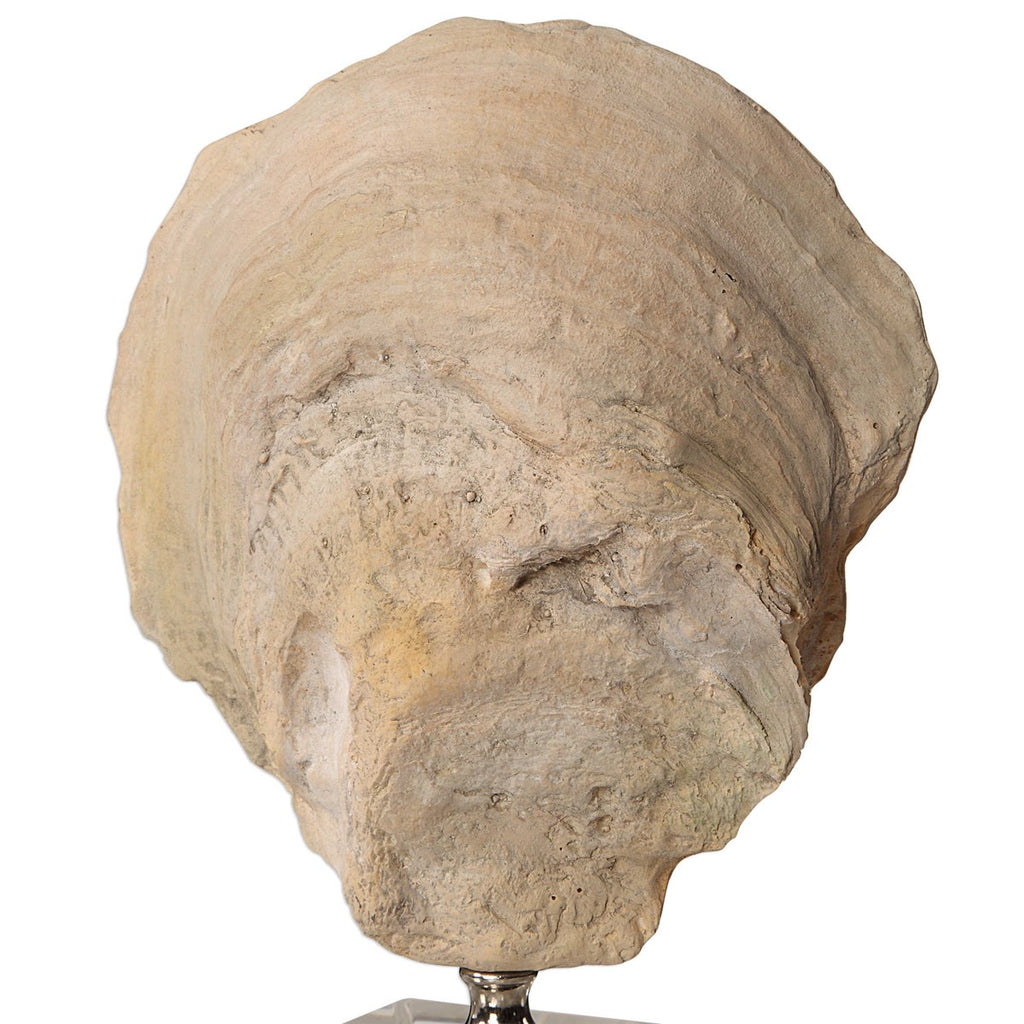 Oyster Shell Sculptures, Set of 2 - Bombay Mercantile