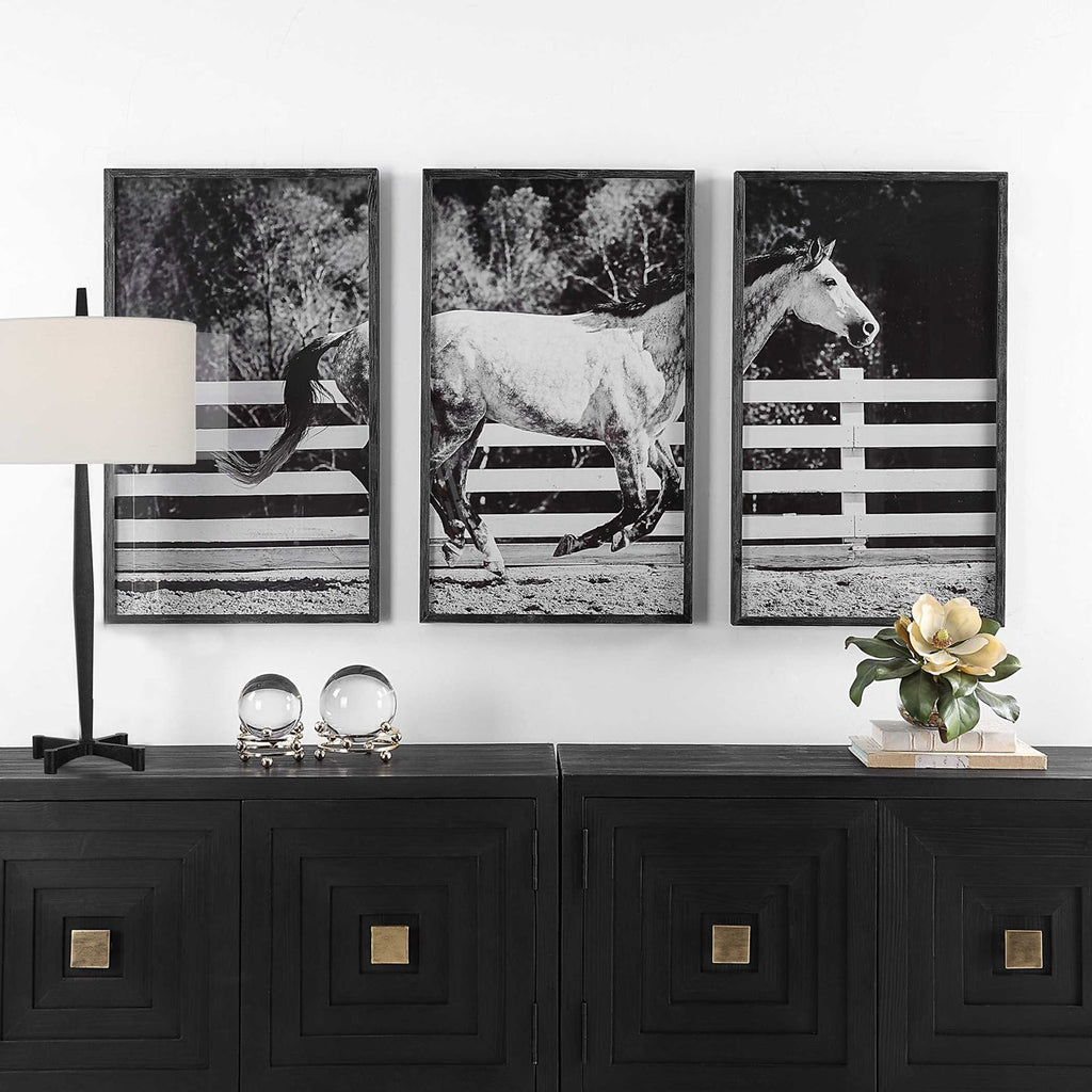 Galloping Forward Equine Prints, Set/3 - Bombay Mercantile