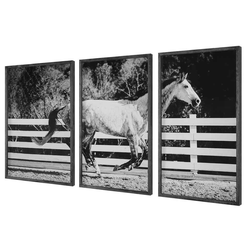 Galloping Forward Equine Prints, Set/3 - Bombay Mercantile