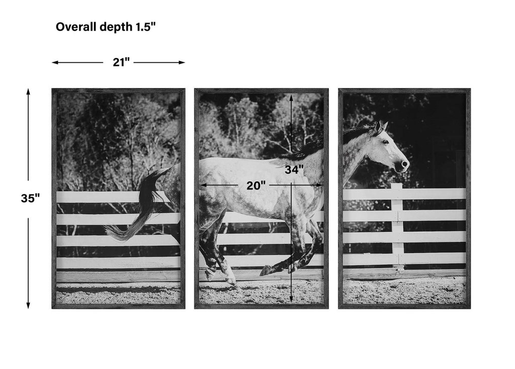 Galloping Forward Equine Prints, Set/3 - Bombay Mercantile