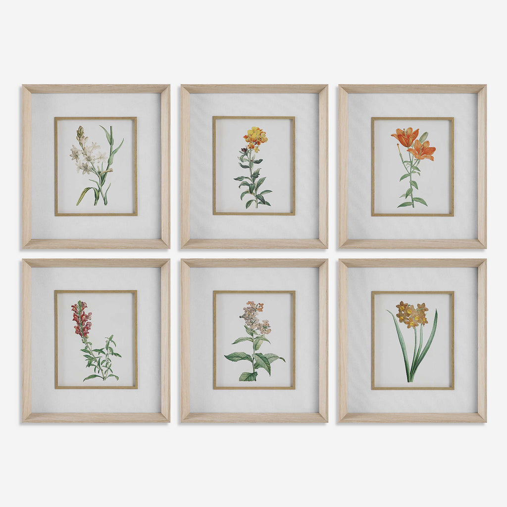 Classic Botanicals Framed Prints Set of 6 - Bombay Mercantile