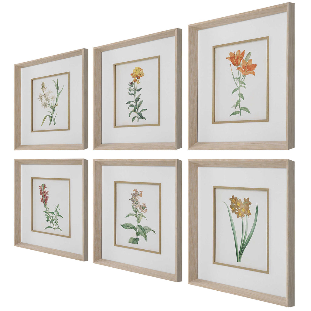 Classic Botanicals Framed Prints Set of 6 - Bombay Mercantile