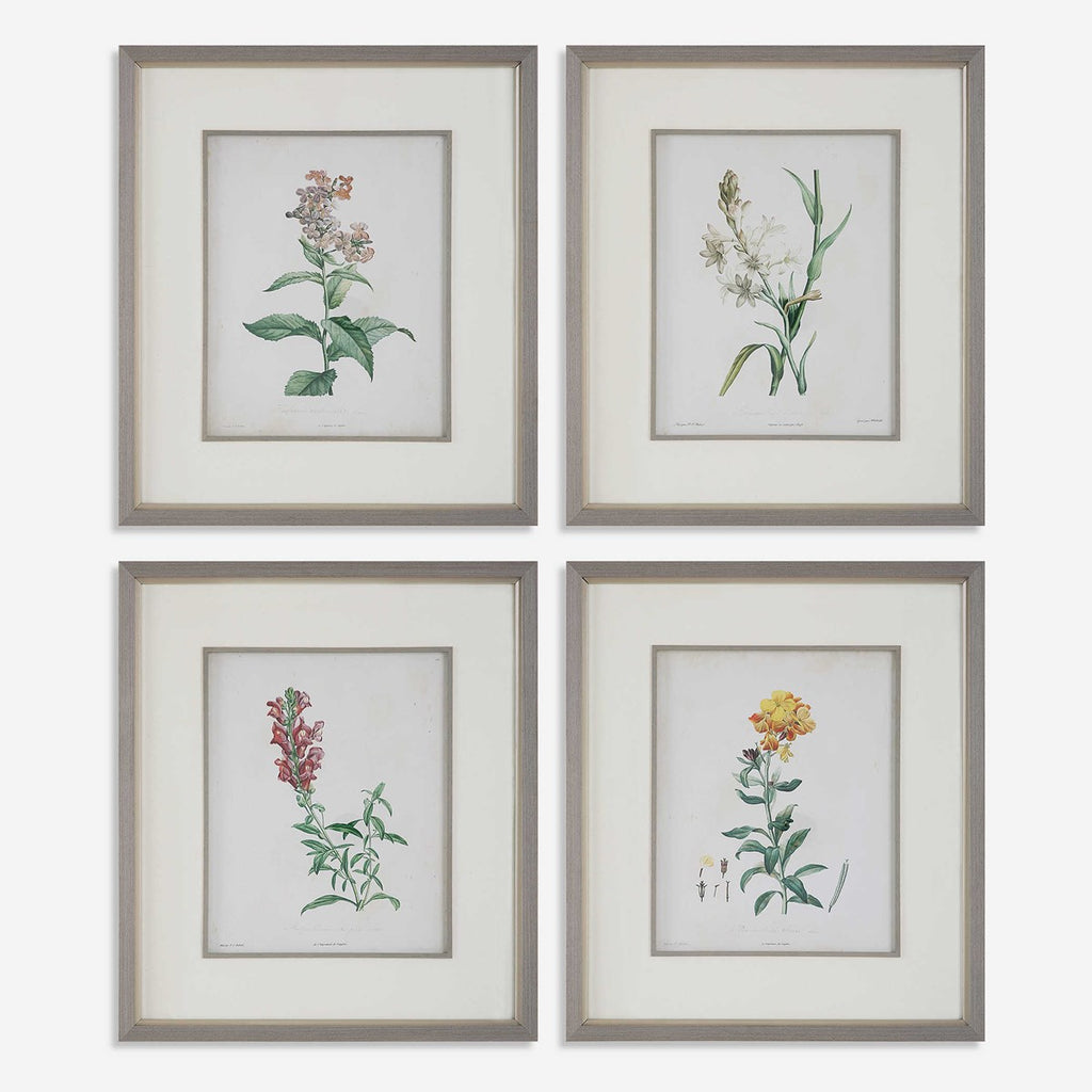 Heirloom Blooms Study Framed Prints Set of 4 - Bombay Mercantile