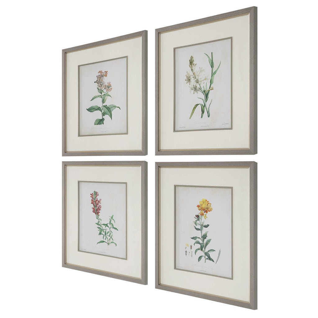 Heirloom Blooms Study Framed Prints Set of 4 - Bombay Mercantile