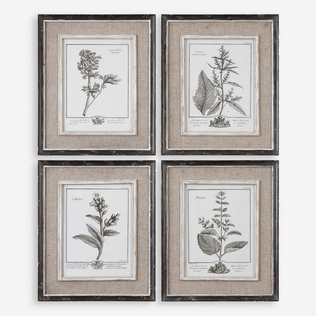 Casual Grey Study Framed Art Set of 4 - Bombay Mercantile