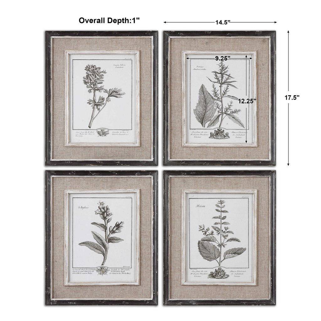 Casual Grey Study Framed Art Set of 4 - Bombay Mercantile