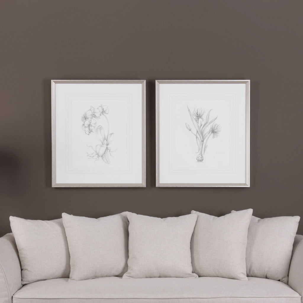 Botanical Sketches Framed Prints Set of 2 - Bombay Mercantile