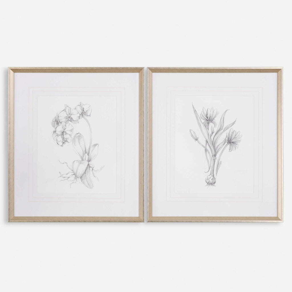 Botanical Sketches Framed Prints Set of 2 - Bombay Mercantile