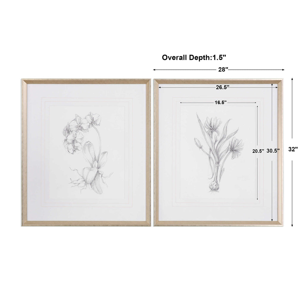 Botanical Sketches Framed Prints Set of 2 - Bombay Mercantile