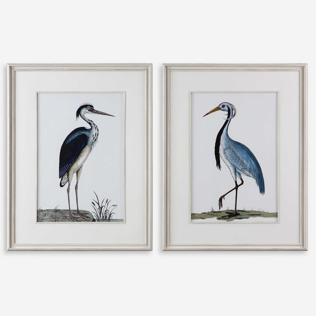 Shore Birds Framed Prints Set of 2 - Bombay Mercantile
