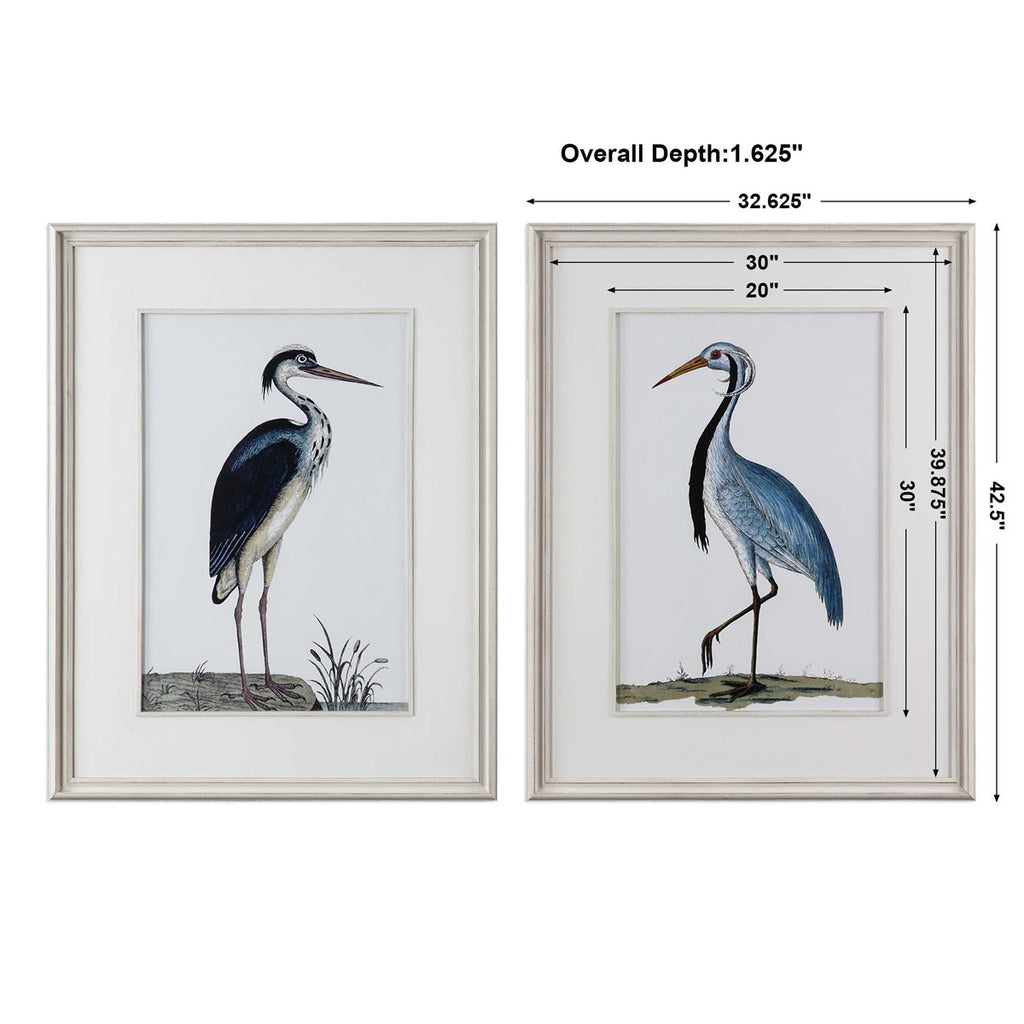 Shore Birds Framed Prints Set of 2 - Bombay Mercantile