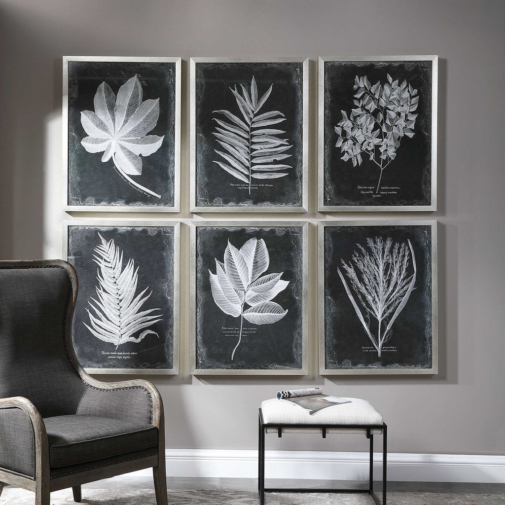 Foliage Framed Prints, Set of 6 - Bombay Mercantile