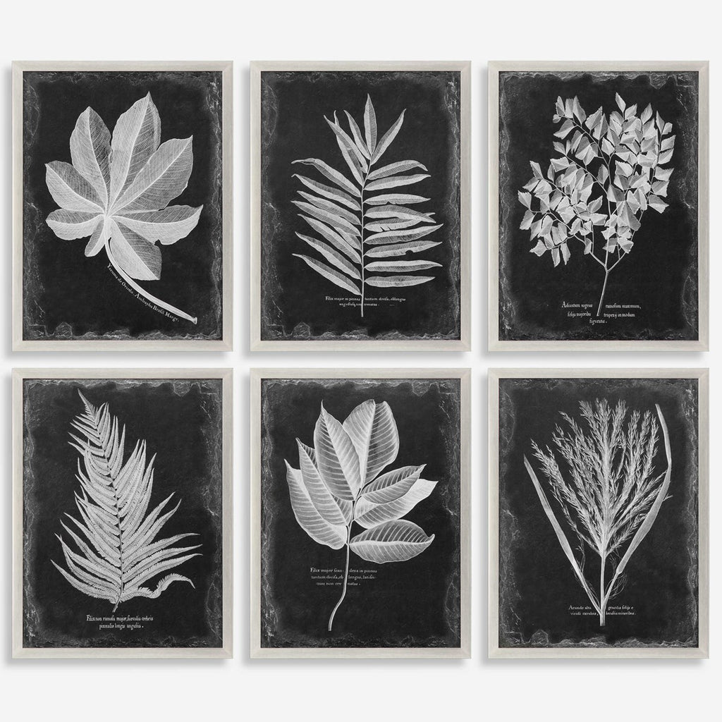 Foliage Framed Prints, Set of 6 - Bombay Mercantile