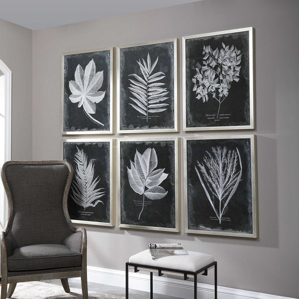 Foliage Framed Prints, Set of 6 - Bombay Mercantile