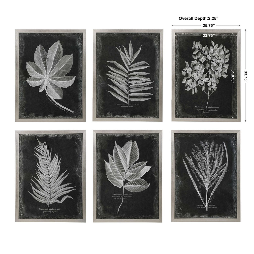 Foliage Framed Prints, Set of 6 - Bombay Mercantile