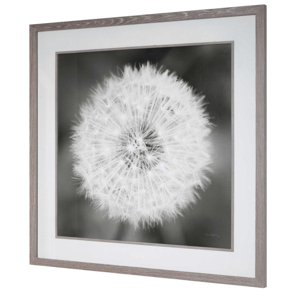 Dandelion Seedhead Framed Print - Bombay Mercantile