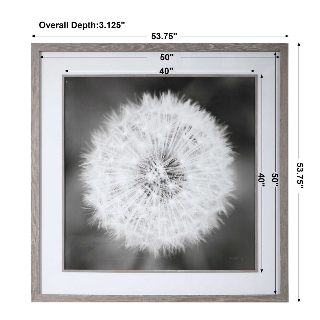 Dandelion Seedhead Framed Print - Bombay Mercantile