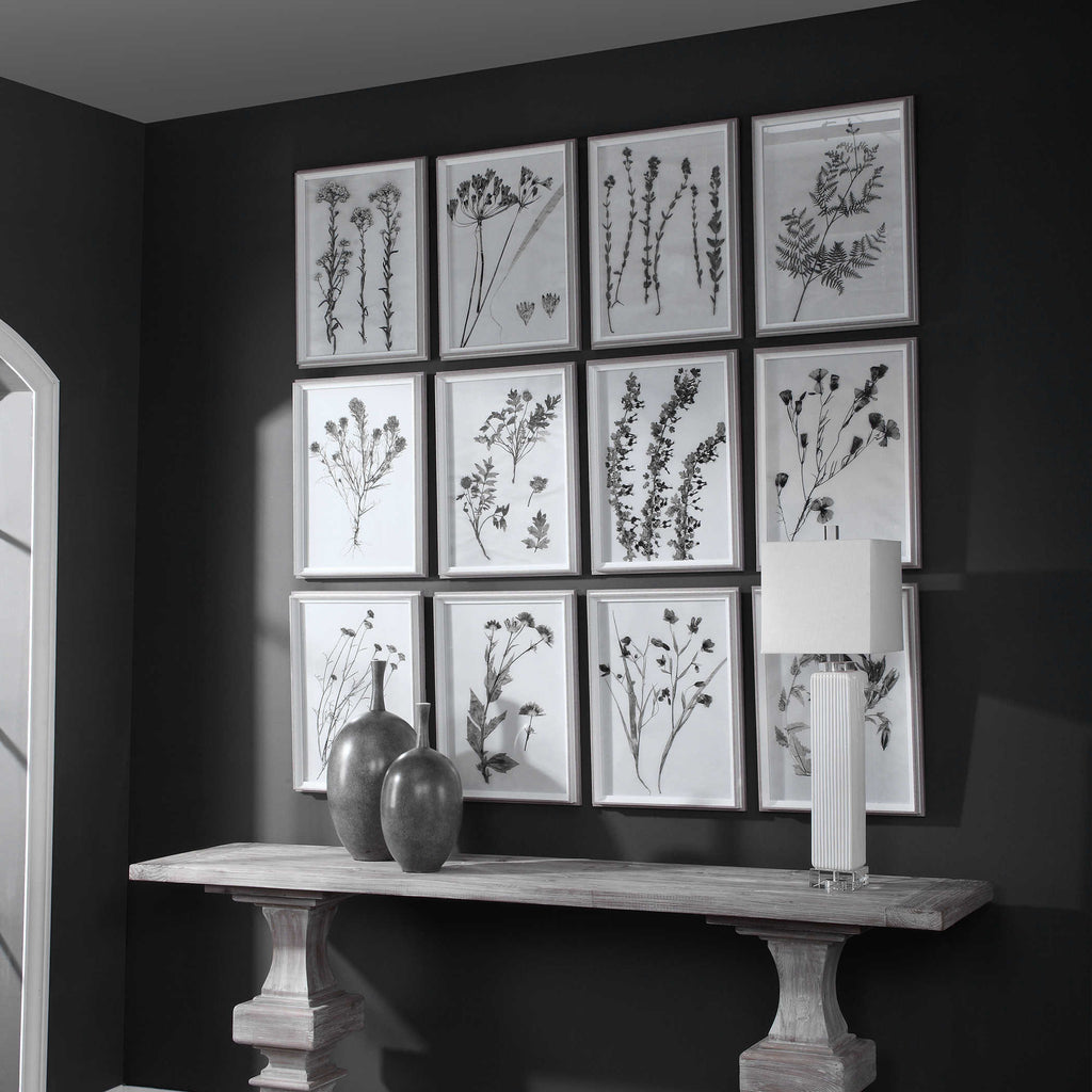 Contemporary Botanicals Framed Prints, Set of 12 - Bombay Mercantile