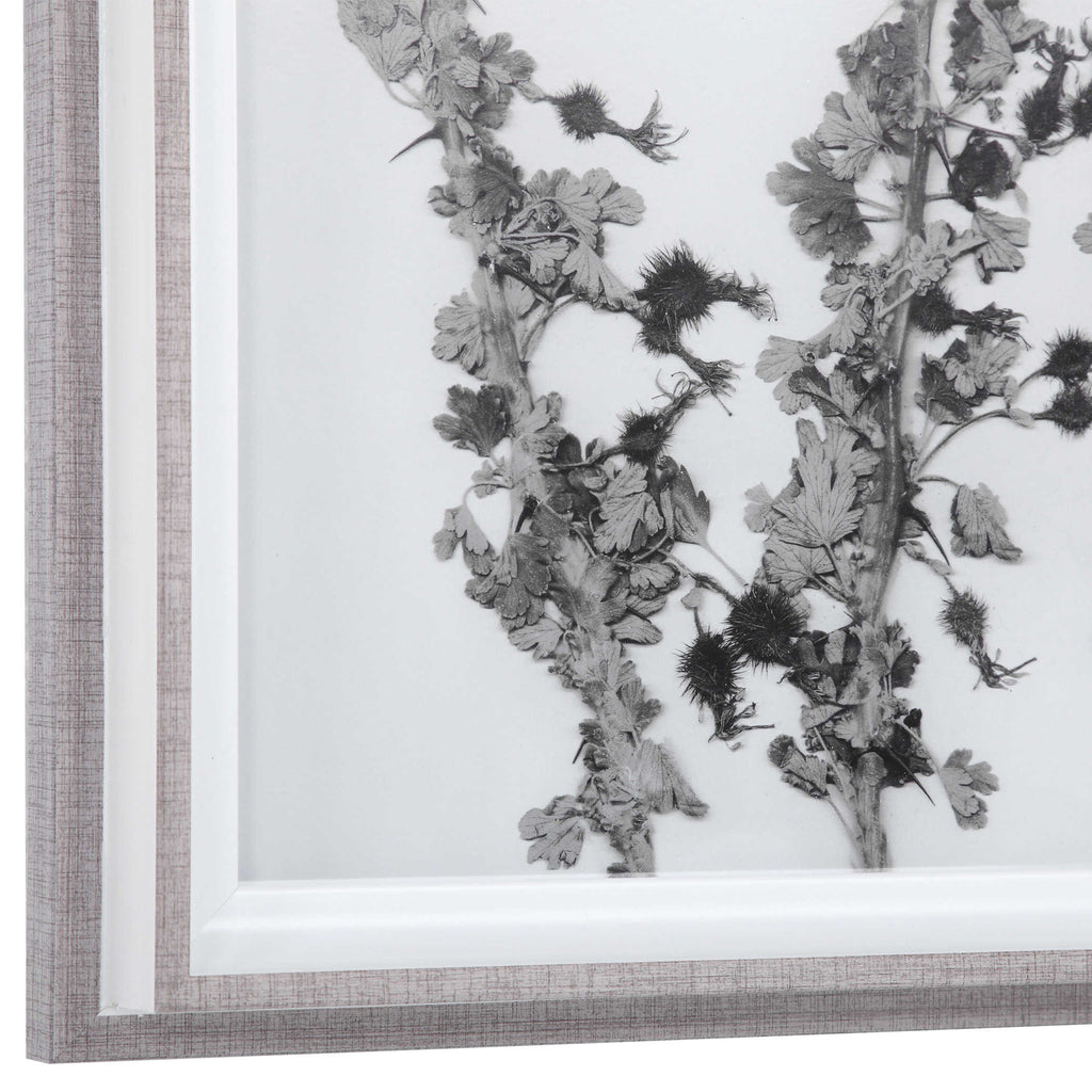 Contemporary Botanicals Framed Prints, Set of 12 - Bombay Mercantile