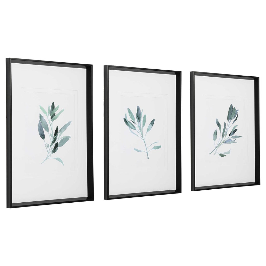 Simple Sage Watercolor Prints, Set of 3 - Bombay Mercantile