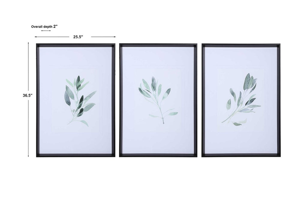 Simple Sage Watercolor Prints, Set of 3 - Bombay Mercantile
