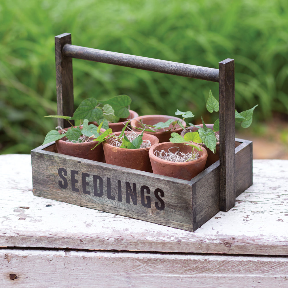 Seedling Pots Caddy - Bombay Mercantile