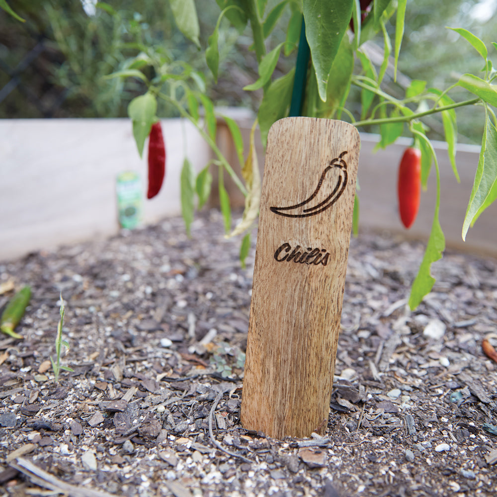 Set of Ten Wood Vegetable Markers - Bombay Mercantile