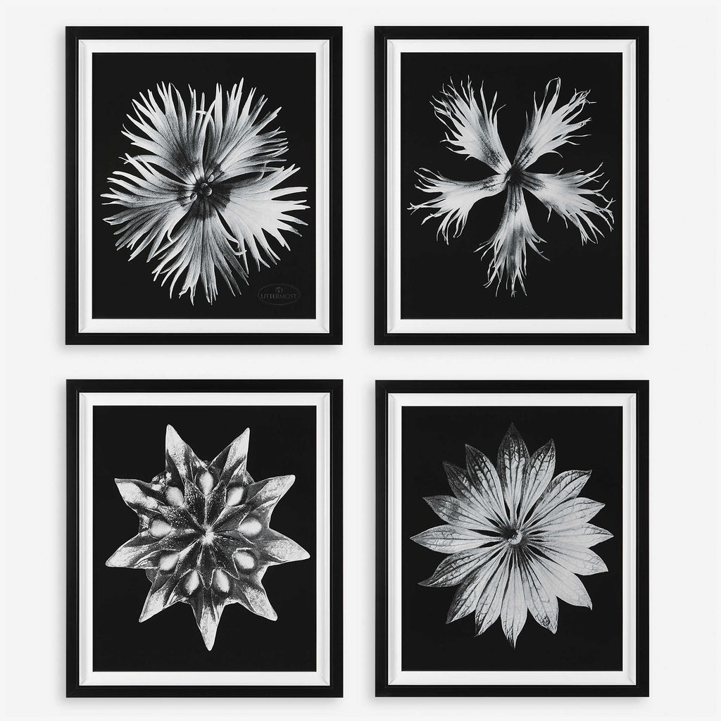 Contemporary Floret Framed Prints, Set of 4 - Bombay Mercantile