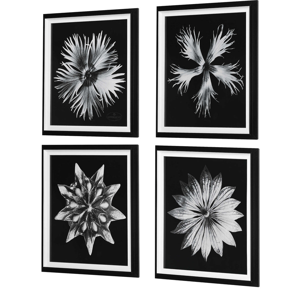 Contemporary Floret Framed Prints, Set of 4 - Bombay Mercantile