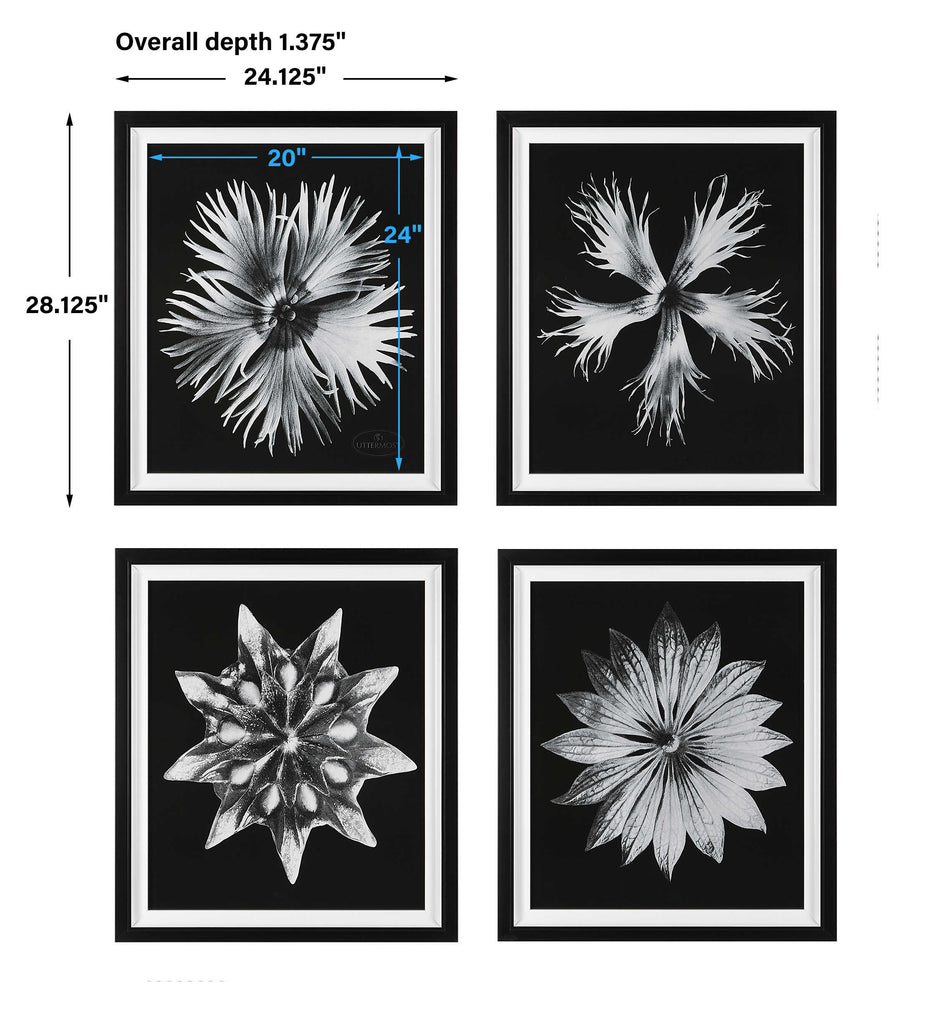 Contemporary Floret Framed Prints, Set of 4 - Bombay Mercantile