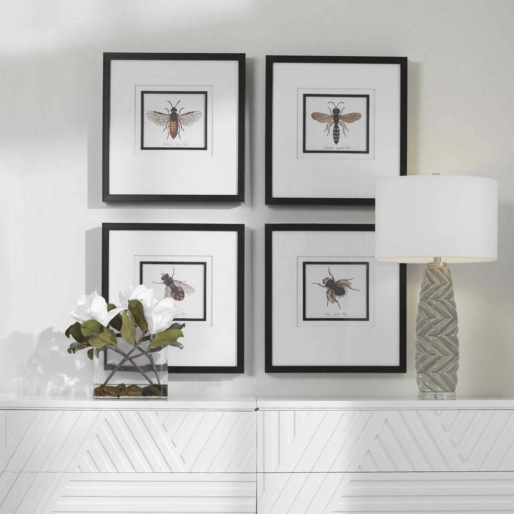 Anthophila Framed Prints, Set of 4 - Bombay Mercantile