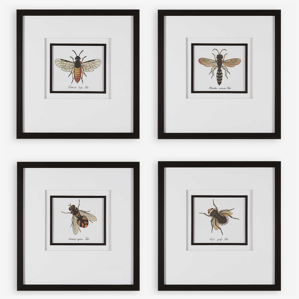 Anthophila Framed Prints, Set of 4 - Bombay Mercantile
