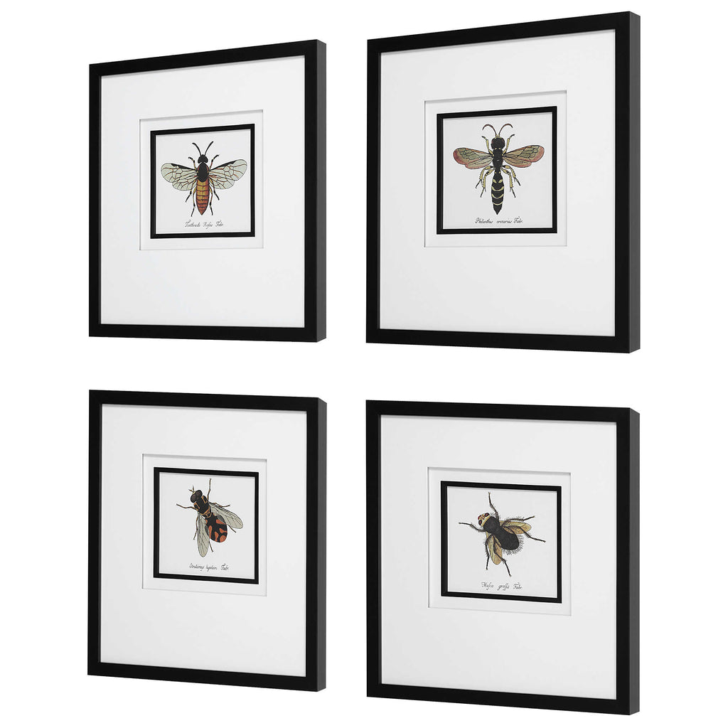 Anthophila Framed Prints, Set of 4 - Bombay Mercantile
