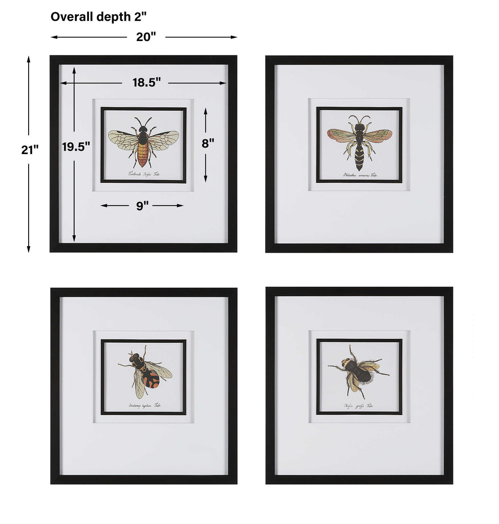 Anthophila Framed Prints, Set of 4 - Bombay Mercantile
