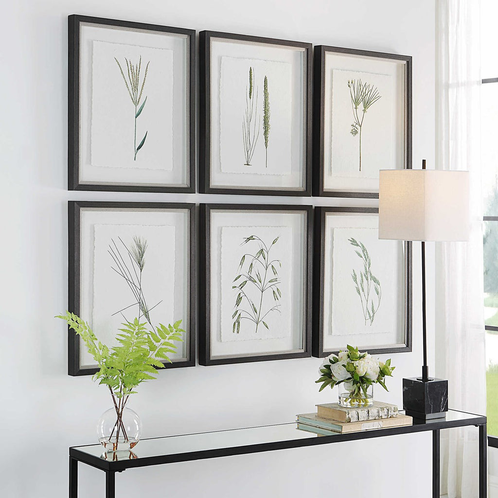 Forest Finds Framed Prints, Set of 6 - Bombay Mercantile