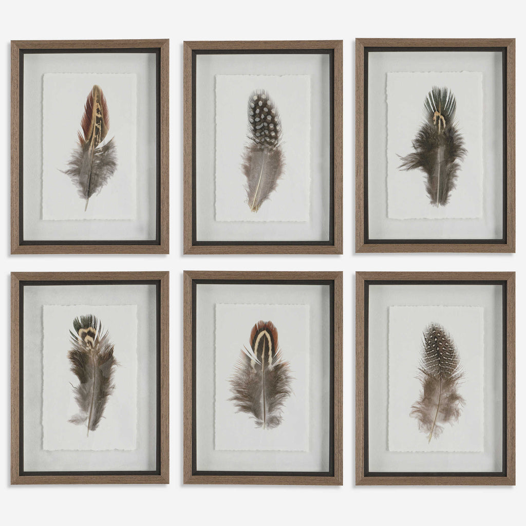 Birds Of A Feather Framed Prints, Set of 6 - Bombay Mercantile
