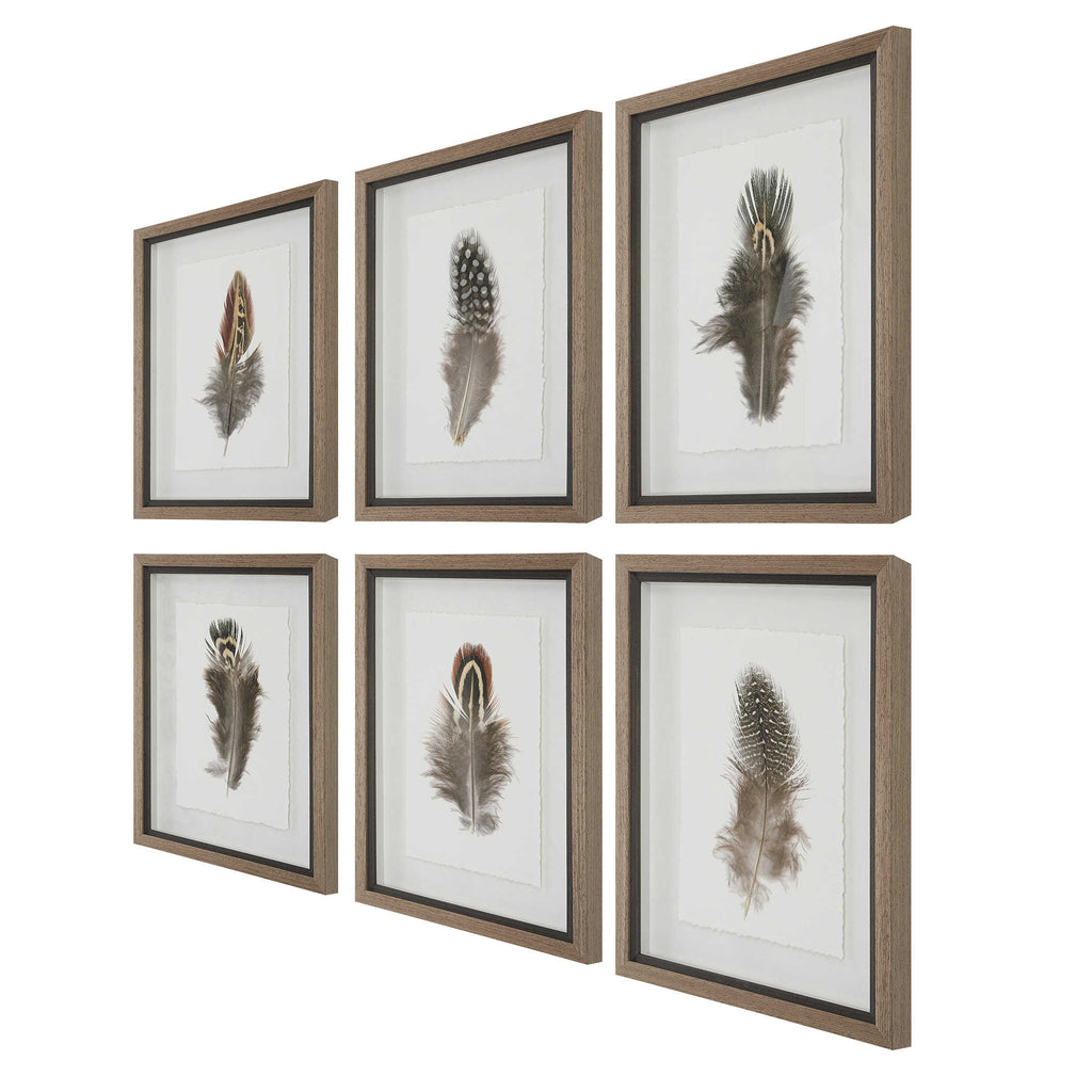 Birds Of A Feather Framed Prints, Set of 6 - Bombay Mercantile