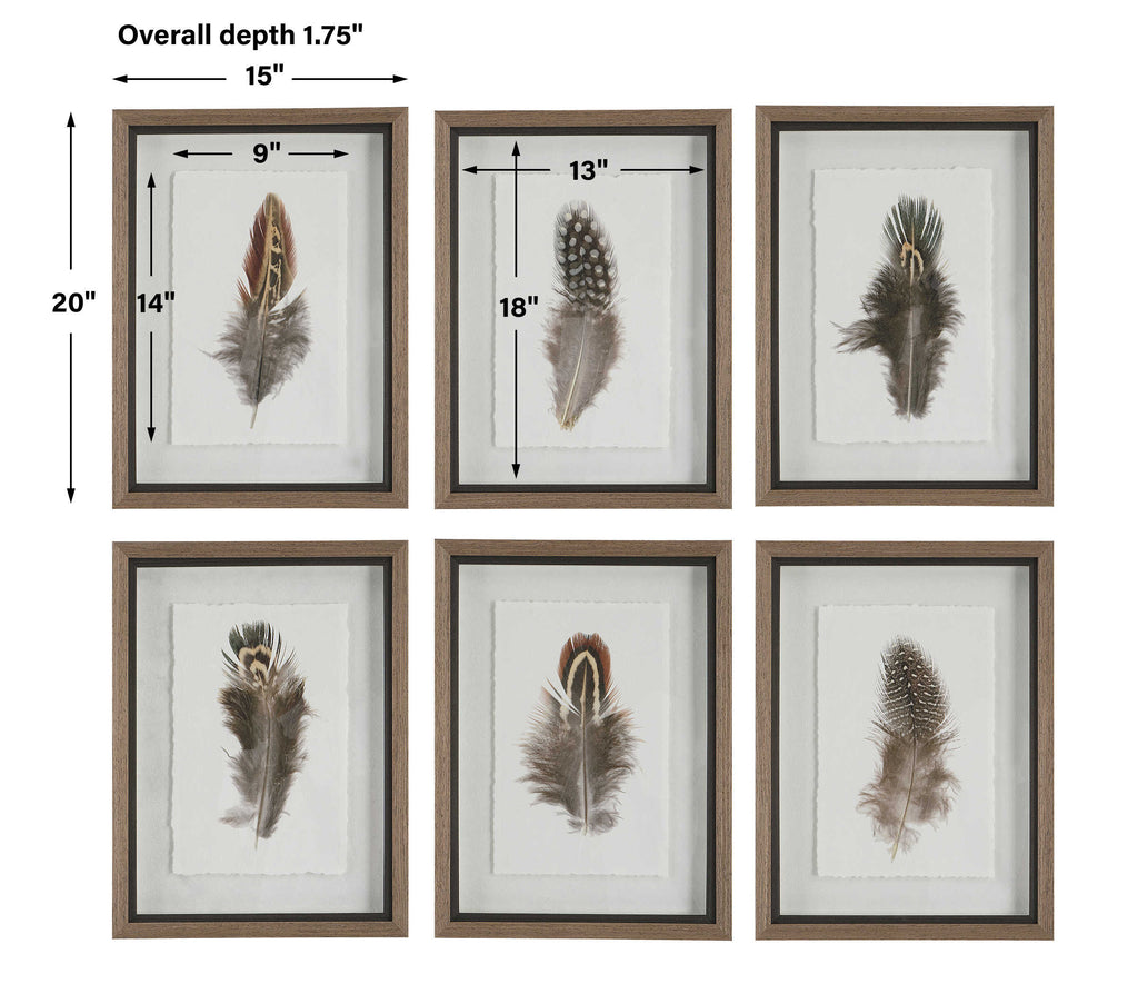 Birds Of A Feather Framed Prints, Set of 6 - Bombay Mercantile