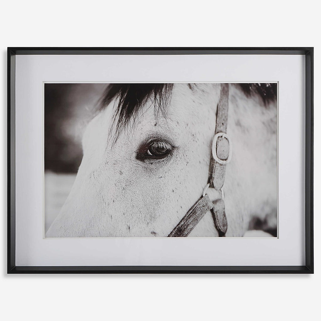 Eye Of The Beholder Framed Print - Bombay Mercantile