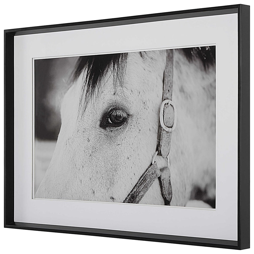 Eye Of The Beholder Framed Print - Bombay Mercantile
