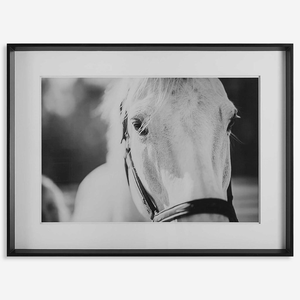 Eyes On The Prize Framed Print - Bombay Mercantile