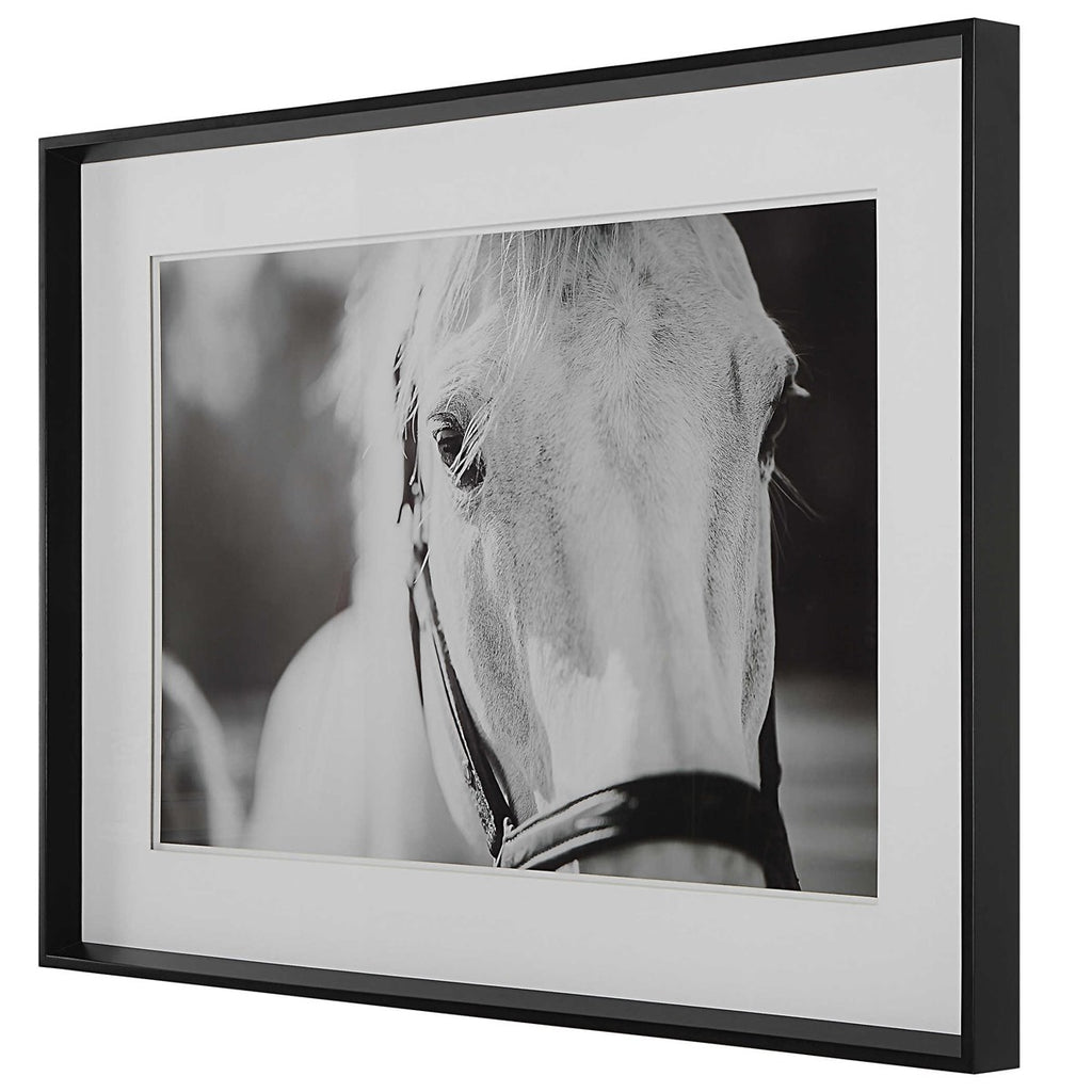 Eyes On The Prize Framed Print - Bombay Mercantile