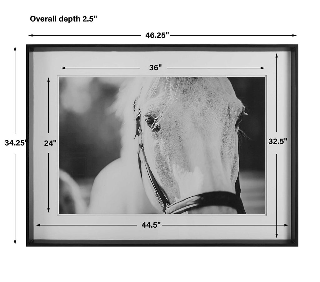 Eyes On The Prize Framed Print - Bombay Mercantile