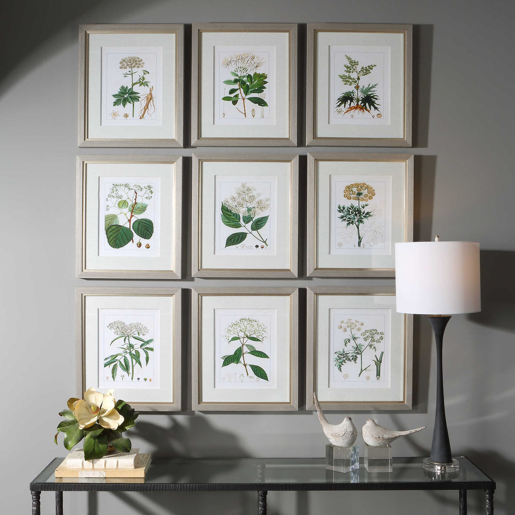 Antique Botanicals Framed Prints, Set of 9 - Bombay Mercantile