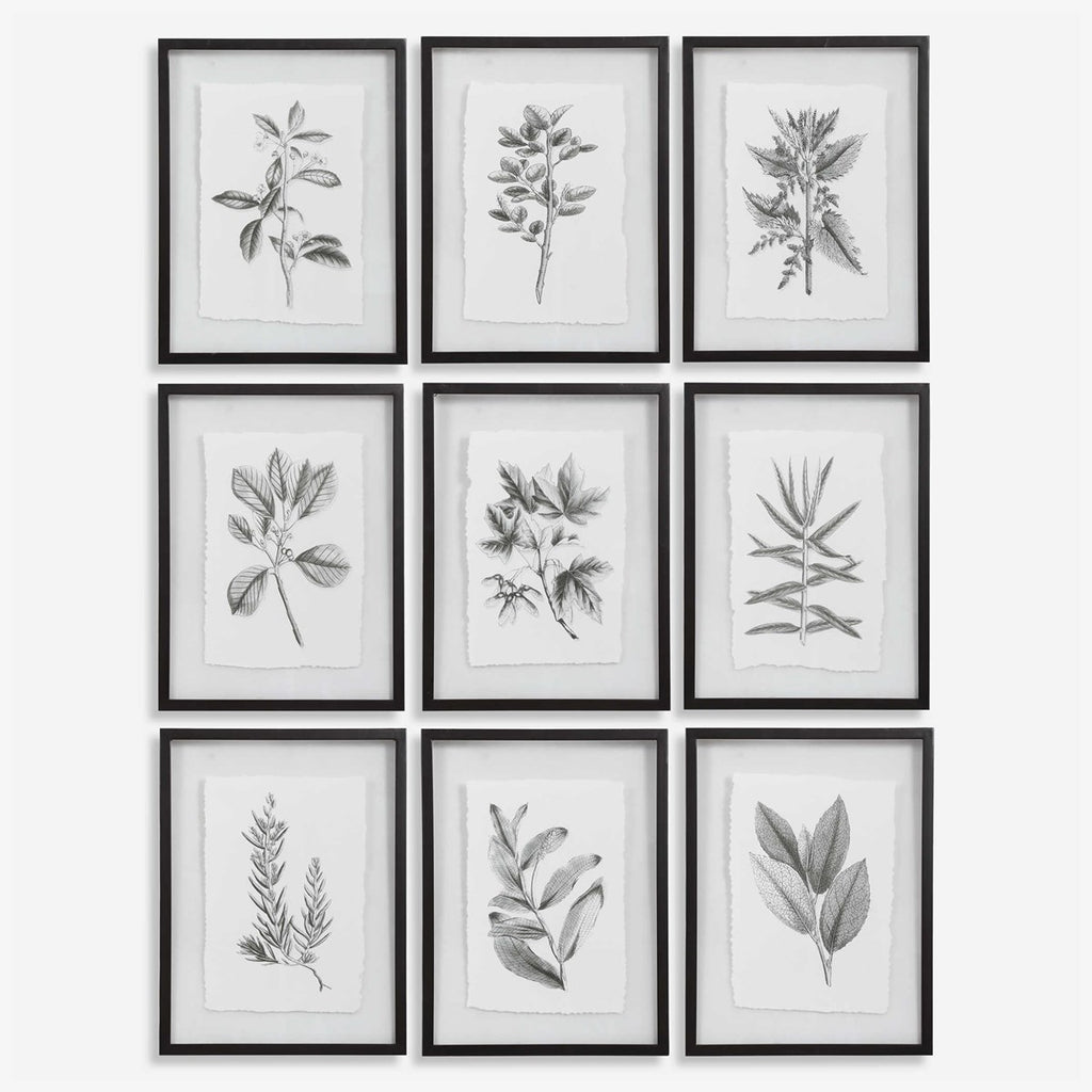 Farmhouse Florals Framed Prints, Set of 9 - Bombay Mercantile