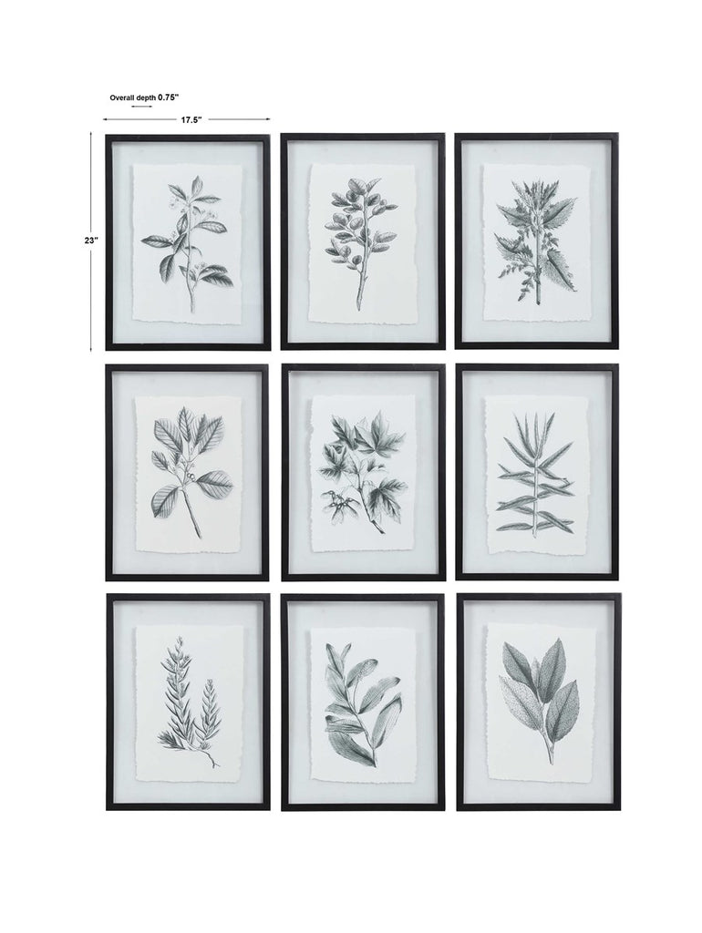Farmhouse Florals Framed Prints, Set of 9 - Bombay Mercantile